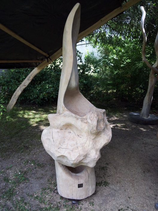 Hinterhöhlte Wucherung Birke, geölt, 18x70x60 cm