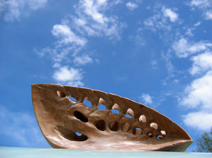 Rippenfossil, Ulme, 15x35x10 cm (2008)