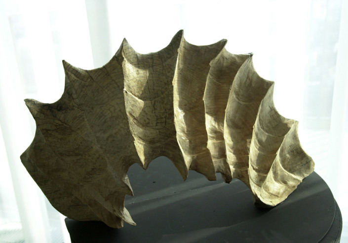 Fächerwelle, Ulme, 30x50x10 cm