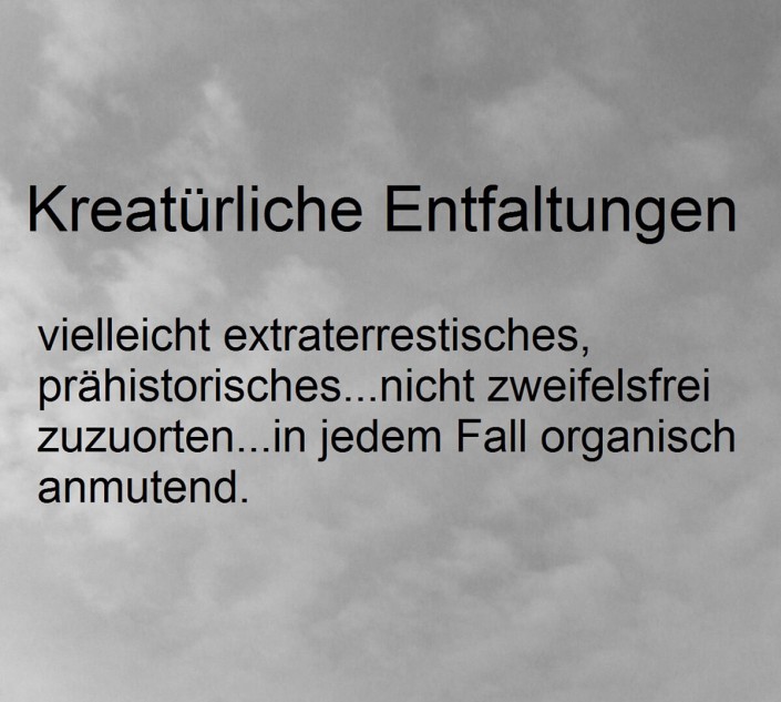 kreatuerliche-entfaltungen